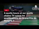 VIDÉO. F1. À quelle heure et sur quelle chaîne TV suivre les qualifications du Grand Prix de Hongrie ?