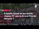 VIDÉO. F1. À quelle heure et sur quelle chaîne TV voir le Grand Prix de Hongrie ?