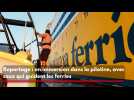 En immersion avec les pilotes du port de Bastia, ces professionnels qui guident les ferries