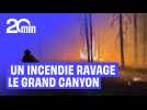 Un incendie ravage le Grand Canyon depuis un mois