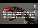 VIDEO. Des paléontologues découvrent une trace de dinosaure d'il y a 200 millions d'années en Lozère