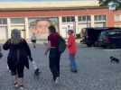 Une balade canine à la découverte du street art