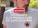Incendie à Saint-Guilhem-le-Désert : les dégâts à la pisciculture
