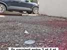 Un homme de 29 ans, tué par balles à Meyzieu
