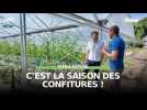 Pleine Nature - C'est la saison des confitures !