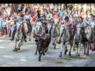Ambiance et traditions à la Féria de Millas