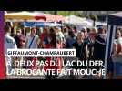 Chasse aux bonnes affaires : à la découverte de la plus grande brocante nocturne du territoire