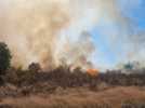 Un secteur boisé en proie à un incendie à Ouches
