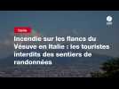 VIDEO. Incendie sur les flancs du Vésuve en Italie : les touristes interdits des sentiers de randonnées