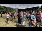 Un festival Open Air au parc de la Corne-de-Cerf à Lamballe