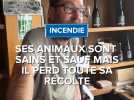 Incendie dans l'Aude : ses animaux sont sains et saufs mais il perd toute sa récolte