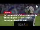 VIDÉO. Football. La campagne d'abonnement à la chaîne Ligue 1 + est lancée depuis ce lundi 11 août