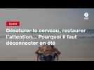 VIDEO. Désaturer le cerveau, restaurer l'attention... Pourquoi il faut déconnecter en été
