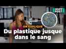 La pollution plastique s'infiltre jusque dans notre corps et voici son impact sur la santé humaine