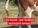 Loto bouse : une tombola vachement sympa