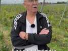A votre rencontre - 