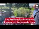 VIDÉO. Mauvaises herbes dans le cimetière de Lisieux : quelles sont les règles d'entretien ?
