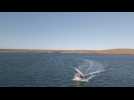La ligue de la mer