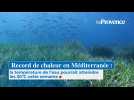 Canicule en Méditerranée : les températures de l'eau atteindront des niveaux historiques, jamais vues depuis 2003
