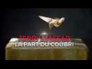 Terry Masear : la part du colibri