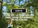 Tepacap : le plus ancien parc dans les arbres de Toulouse