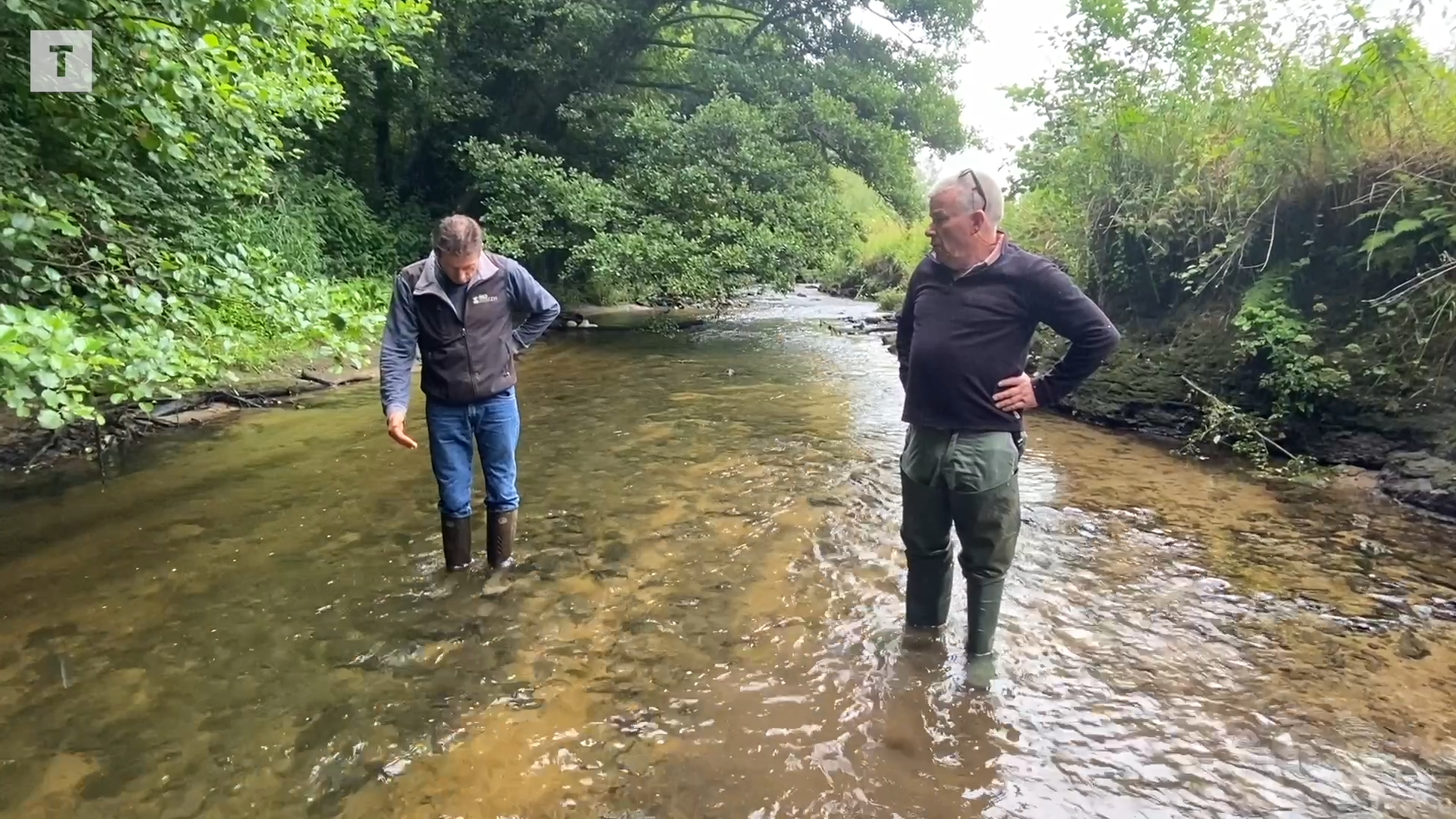 Sécheresse : dans le pays de Morlaix, la rivière Penzé est en état d'alerte rouge
