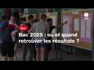 VIDEO. Bac 2025 : où et quand retrouver les résultats ?