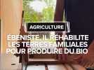 Ébéniste, il réhabilite les terres familiales pour produire du bio