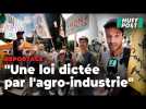 Au Sénat, le courroux des agriculteurs de la Confédération paysanne contre la loi Duplomb