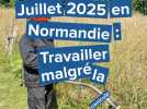 Normandie : Travailler malgré la canicule