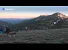 Ultra-trail: L'Américain Caleb Olson crée la surprise sur la Western States 100, Jornet 3e