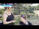 VIDÉO. Au festival Pop au Parc, qui sont ces « coifleurs » qui subliment les looks ?
