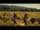 Soleil Noir (Bande Annonce)