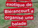 Balade nocturne à la réserve exotique de Blérancourt