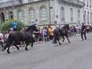 Tour de France 2025 étape 14 : Des chevaux lâchés à Luchon