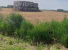 À Illies ce blockhaus a été transformé en oeuvre d'art