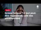 VIDEO. Grosse fatigue ? Il faut peut-être regarder du côté des parathyroïdes