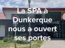 La SPA de Dunkerque nous a ouvert ses portes