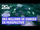 Une bactérie pourrait provoquer des millions de cancers de l'estomac