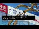 22e édition du World aquatics championships
