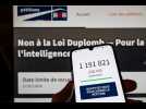 VIDÉO. Pétition contre la loi Duplomb : quelles conséquences peut-elle avoir sur la loi ?