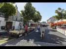 Loi Duplomb : qu'en pensent les maraîchers de Haute-Loire ?