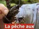 Nature - Familiale, ludique et accessible, on a testé pour vous la pêche à l'écrevisse dans le Morvan
