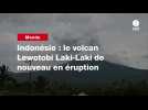 VIDEO. Indonésie : le volcan Lewotobi Laki-Laki de nouveau en éruption