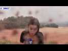 Incendies dans l'Hérault : une journaliste BFMTV très fermement recadrée par un pompier en plein...