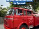 Insolite rencontre dans les rues de Camaret