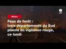 VIDEO. Feux de forêt : trois départements du Sud placés en vigilance rouge, ce lundi