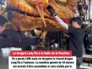 Le dragon Long Ma débarque à la Halle de la Machine