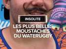 Montre moi ta moustache