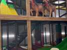 Quartier libre, le nouvel espace indoor du ValJoly